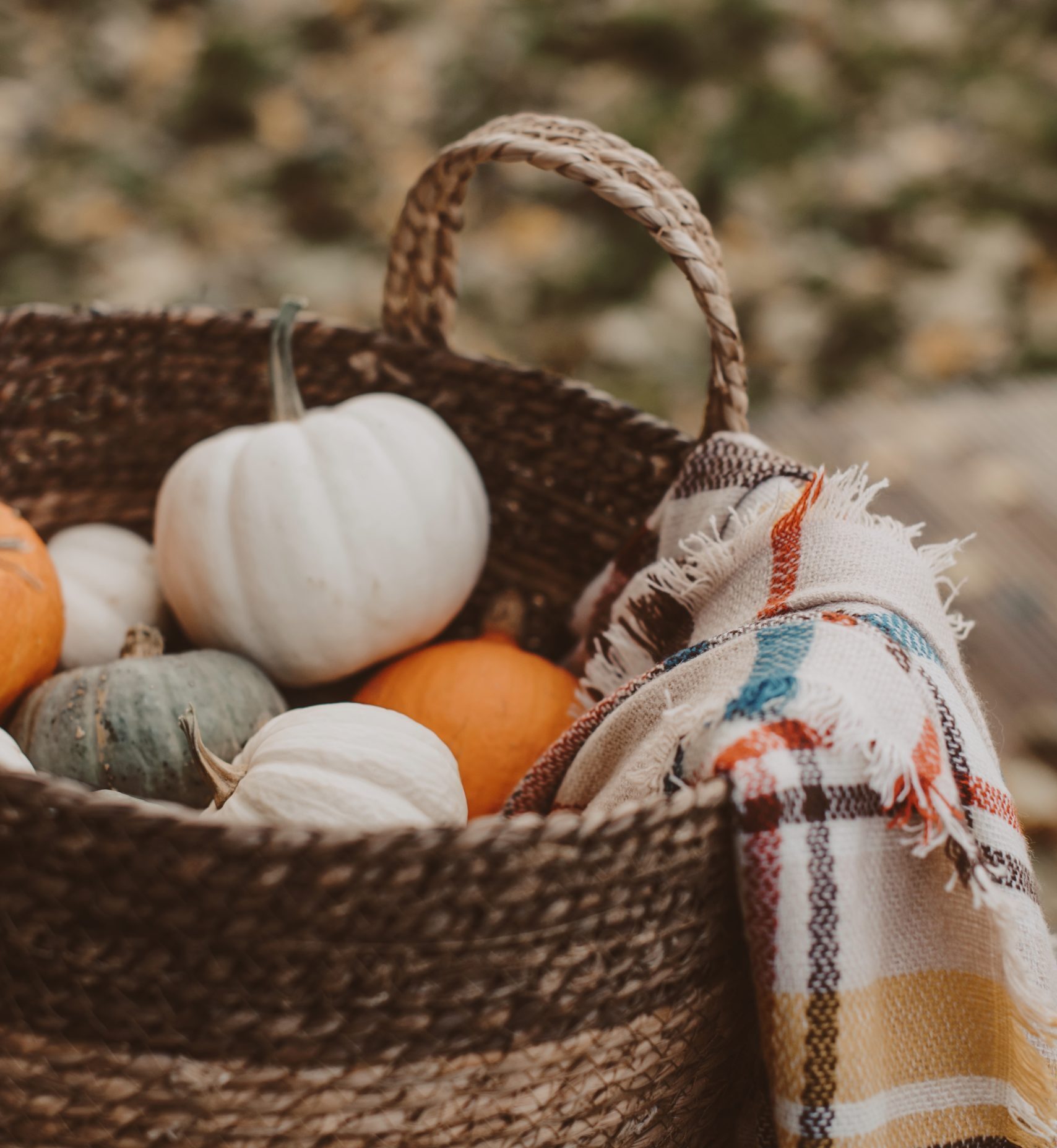 Thanksgiving Basket